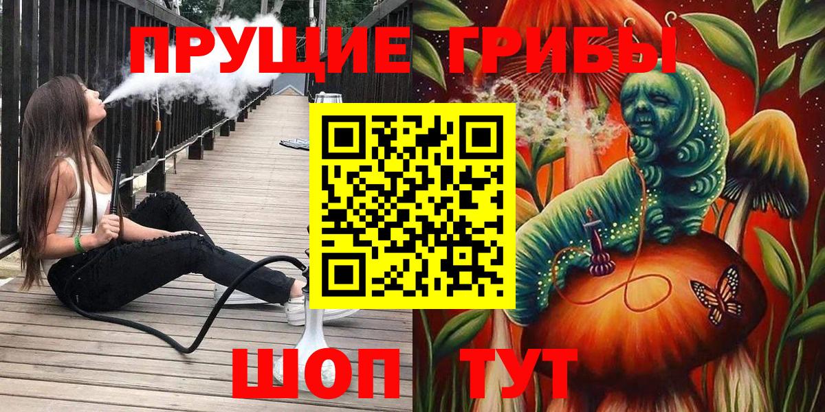 Псилоцибиновые грибы мицелий Горячий Ключ