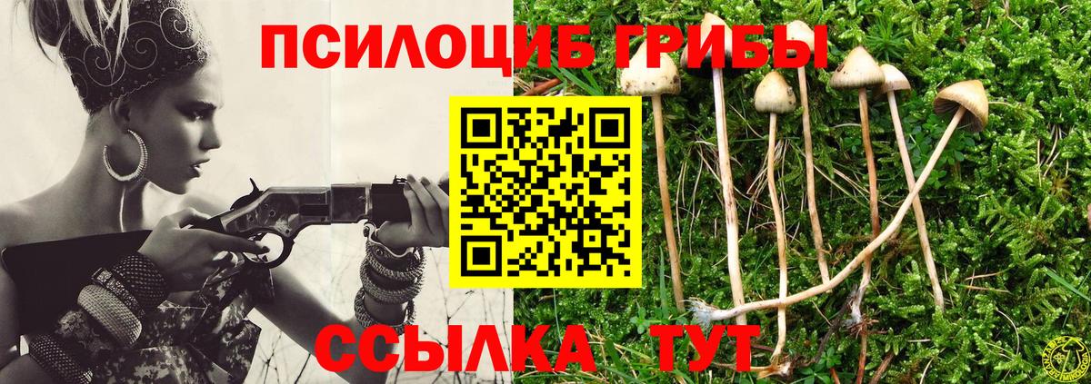 Галлюциногенные грибы Magic Shrooms  Вход с VPN  купить  цена  Горячий Ключ 